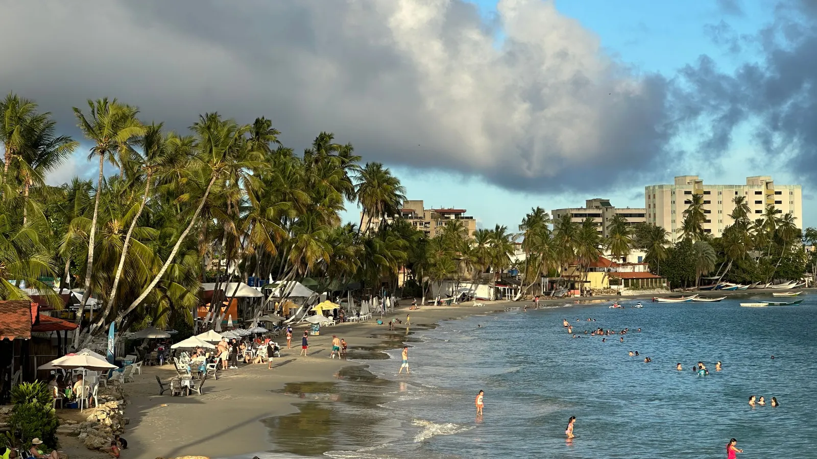 Palm trees and the beach at Pampatar, Margarita Island