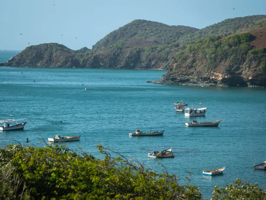 Vacation Packages